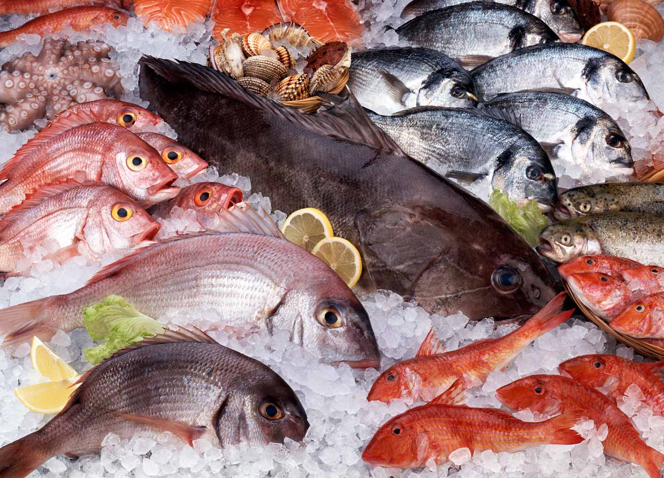 pescadosdiversos